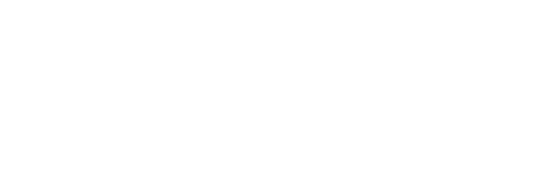 Sanity